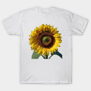 Sunflowers for good luck T-Shirt